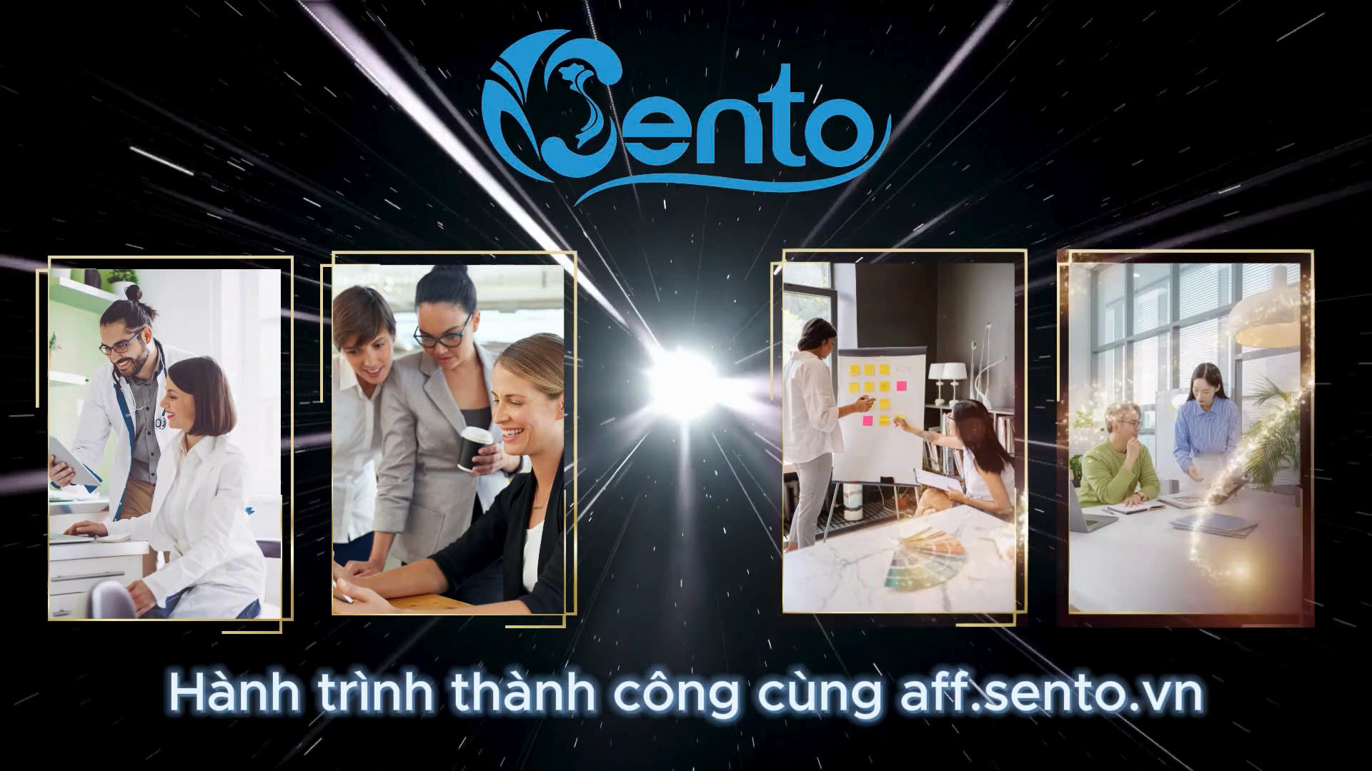 lĩnh vực hoạt động
